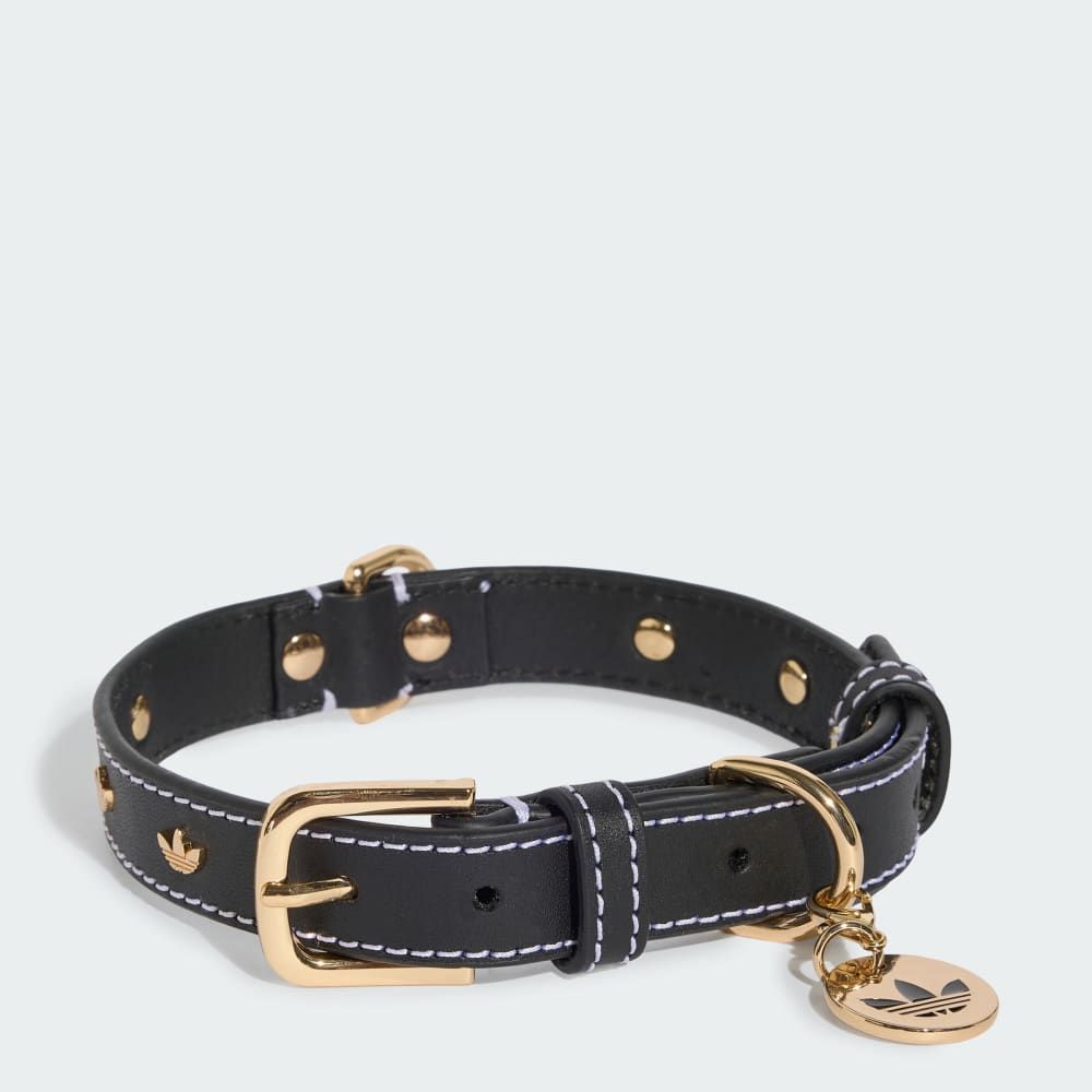 Adidas Pet Collar in branded colorway